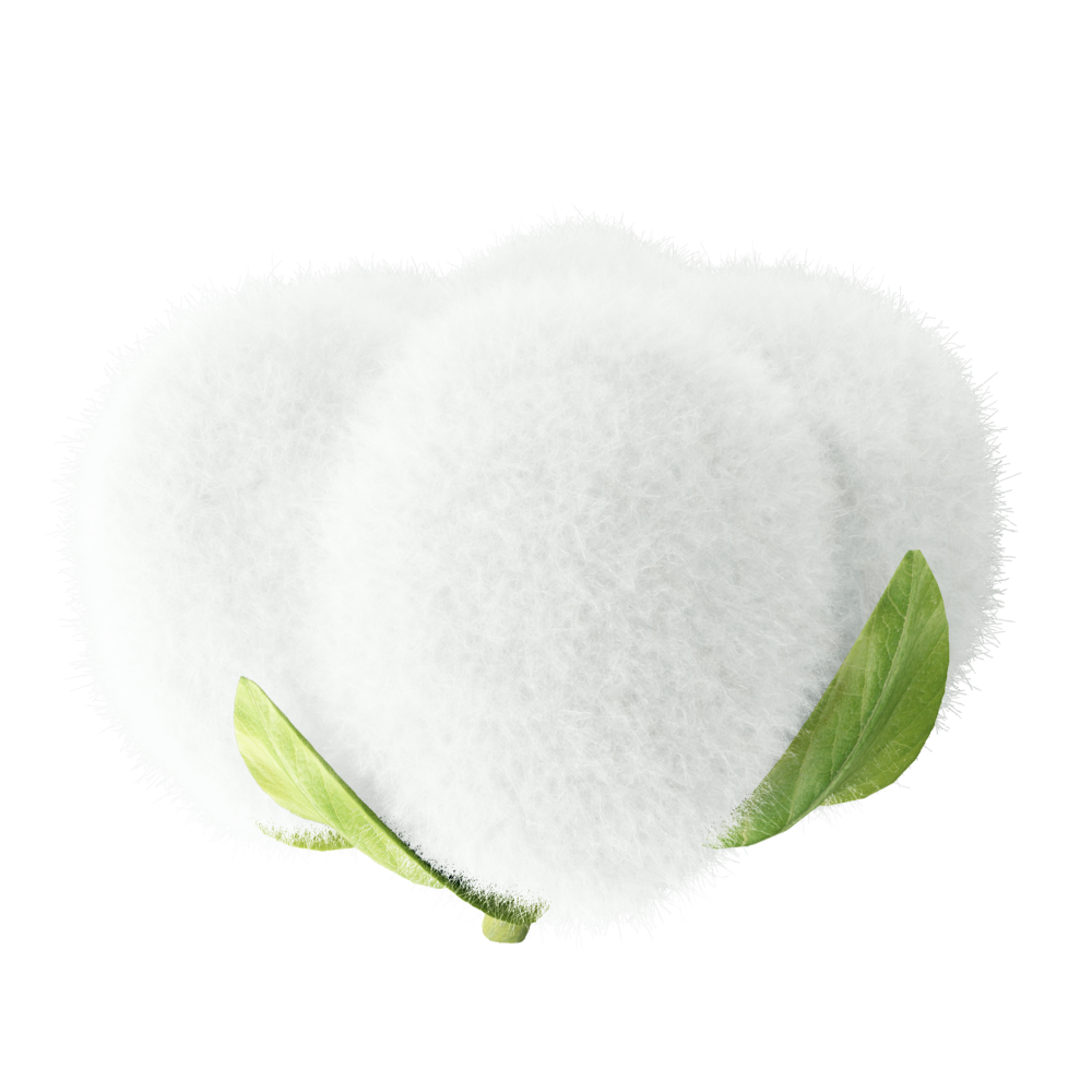 Cotton